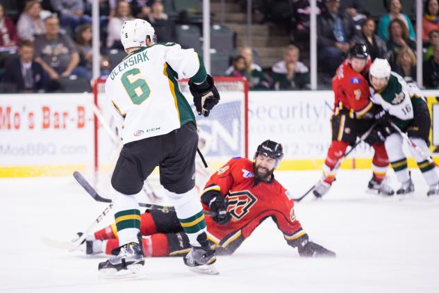 Texas Stars vs. Adirondack Flames