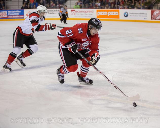 Niagara IceDogs vs. Ottawa 67's