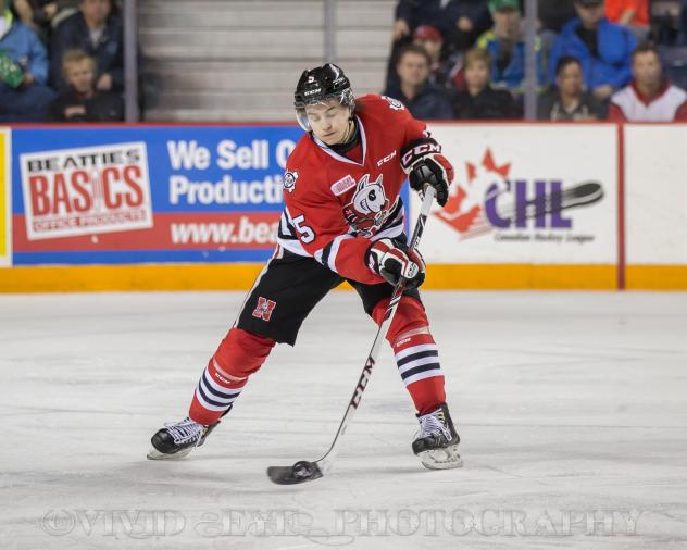 Niagara IceDogs vs. Ottawa 67's