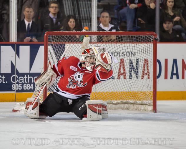 Niagara IceDogs vs. Ottawa 67's