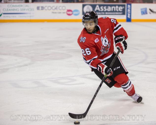 Niagara IceDogs vs. Ottawa 67's