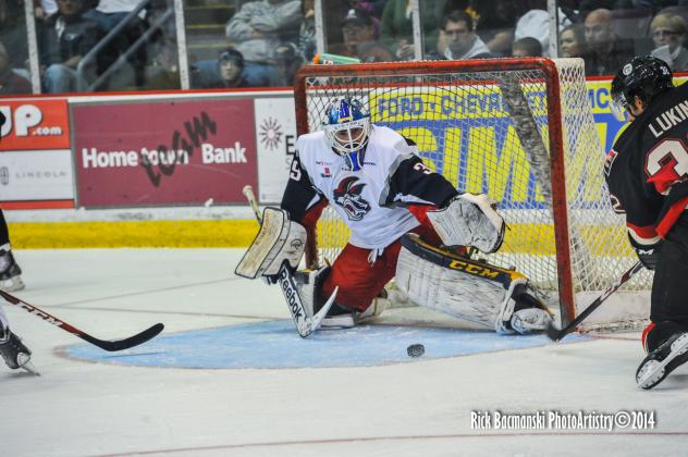Elmira Jackals Goaltender Sam Marotta
