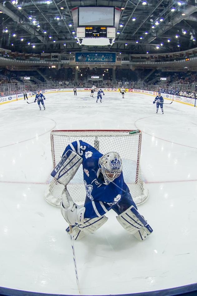 Toronto Marlies vs. Chicago Wolves