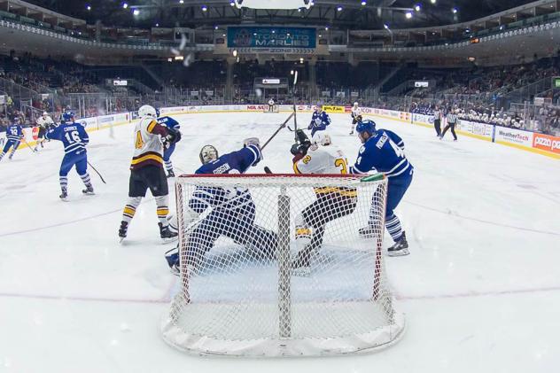 Toronto Marlies vs. Chicago Wolves