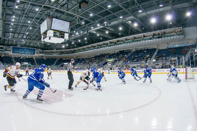 Toronto Marlies vs. Chicago Wolves