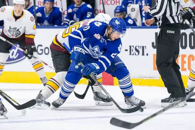 Toronto Marlies vs. Chicago Wolves