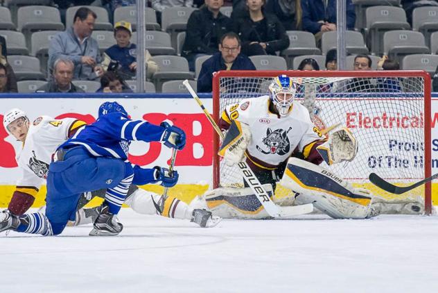 Toronto Marlies vs. Chicago Wolves