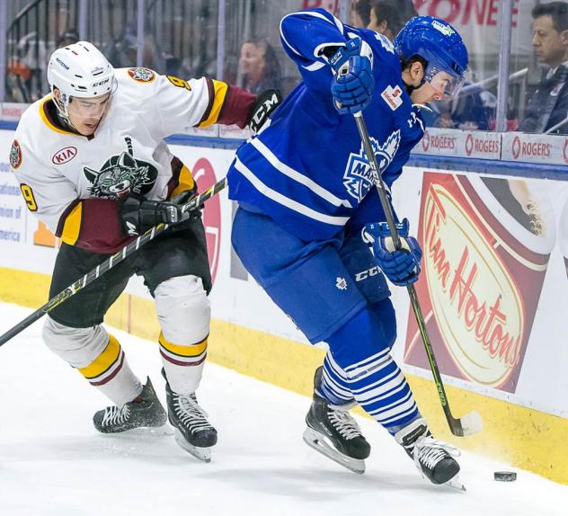 Toronto Marlies vs. Chicago Wolves