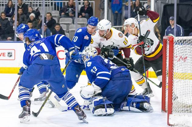 Toronto Marlies vs. Chicago Wolves