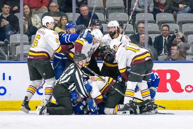 Toronto Marlies vs. Chicago Wolves