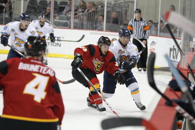 Indy Fuel vs. Toledo Walleye