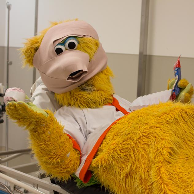 Injured Fresno Grizzlies Mascot Parker T. Bear