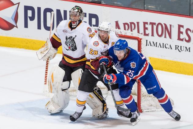 Hamilton Bulldogs vs. Chicago Wolves