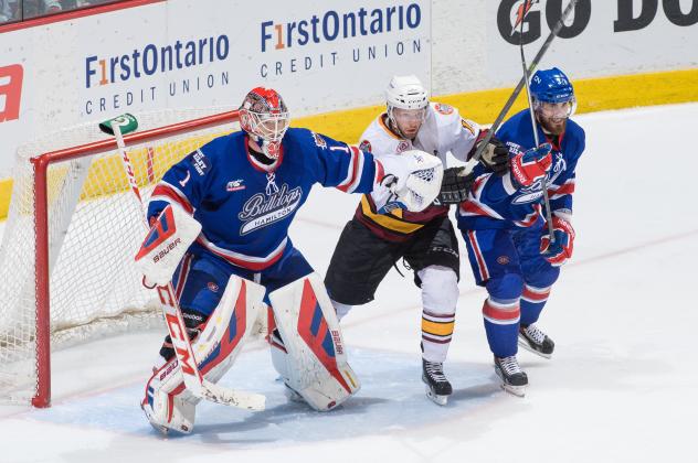 Hamilton Bulldogs vs. Chicago Wolves