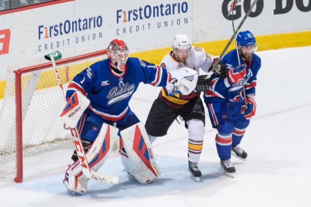 Chicago Wolves vs. Hamilton Bulldogs