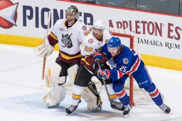 Chicago Wolves vs. Hamilton Bulldogs