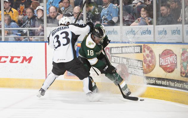 Texas Stars vs. Milwaukee Admirals