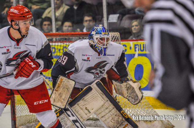 Elmira Jackals Goaltender Sam Marotta