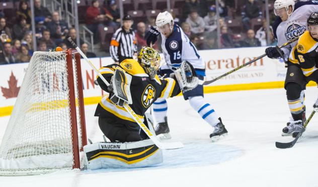 St. John's IceCaps vs. Providence Bruins