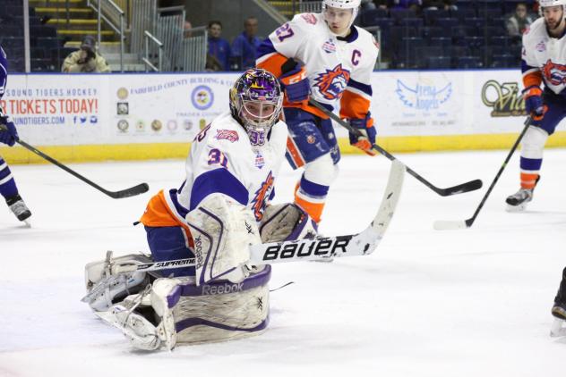 Bridgeport Sound Tigers vs. Syracuse Crunch