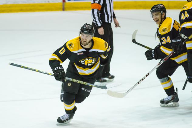 St. John's IceCaps vs. Providence Bruins