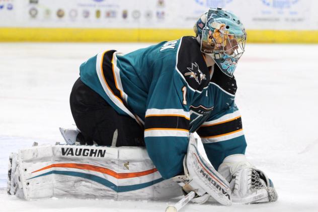 Bridgeport Sound Tigers vs. Worcester Sharks