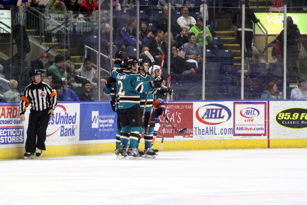 Bridgeport Sound Tigers vs. Worcester Sharks