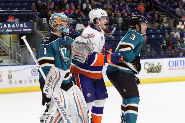 Bridgeport Sound Tigers vs. Worcester Sharks