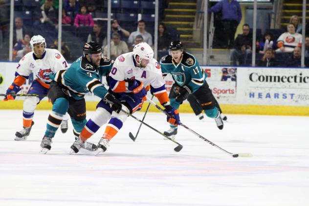Bridgeport Sound Tigers vs. Worcester Sharks
