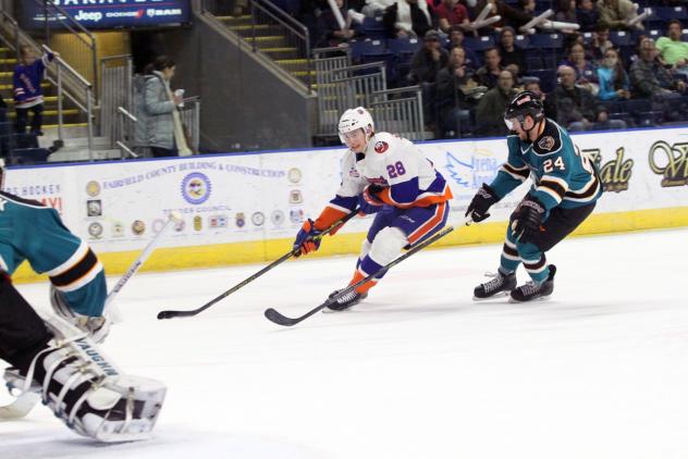 Bridgeport Sound Tigers vs. Worcester Sharks