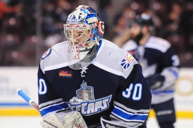 Eric Comrie of the St. John's IceCaps