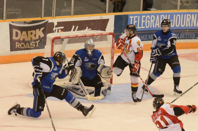 Saint John Sea Dogs vs. Baie-Comeau Drakkar