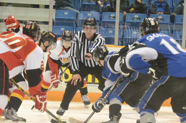 Saint John Sea Dogs vs. Baie-Comeau Drakkar