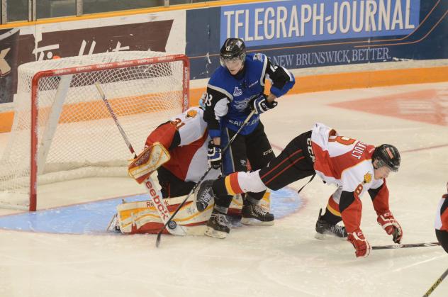 Saint John Sea Dogs vs. Baie-Comeau Drakkar