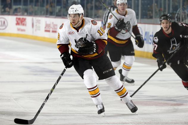 Chicago Wolves vs. Lake Erie Monsters