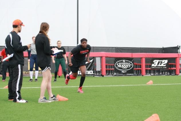 Bandits Open Tryouts