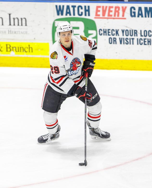 Rockford IceHogs Defenseman Ville Pokka