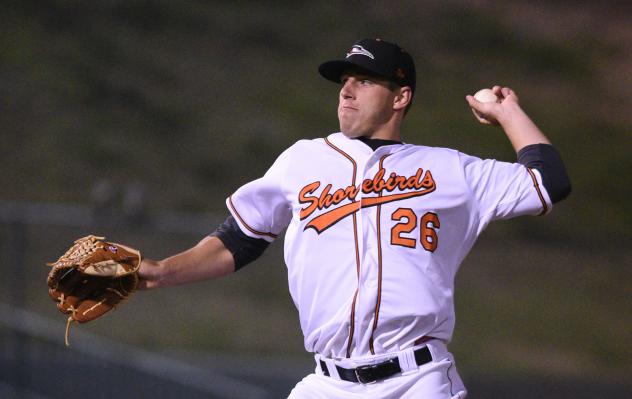 Delmarva Shorebirds vs. Greensboro Grasshoppers