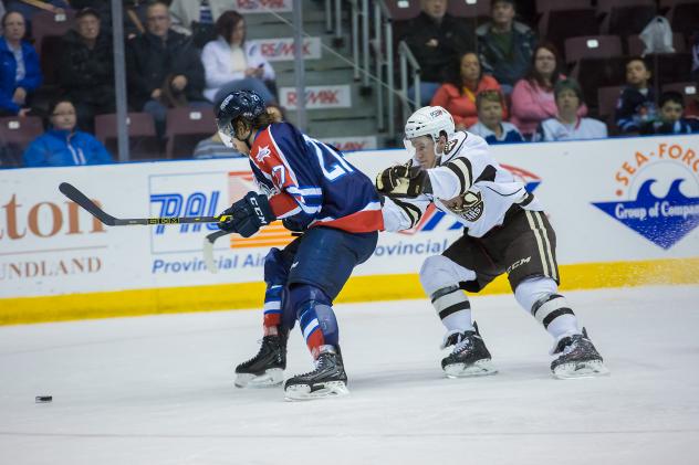St. John's IceCaps vs. Hershey Bears