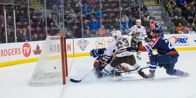 St. John's IceCaps vs. Hershey Bears