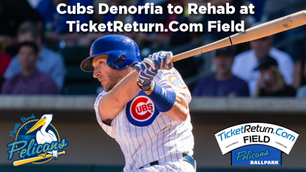 Chicago Cubs Outfielder Chris Denorfia