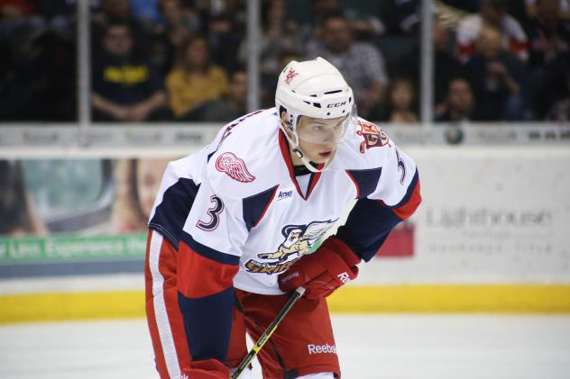 Grand Rapids Griffins Defenseman Alexey Marchenko