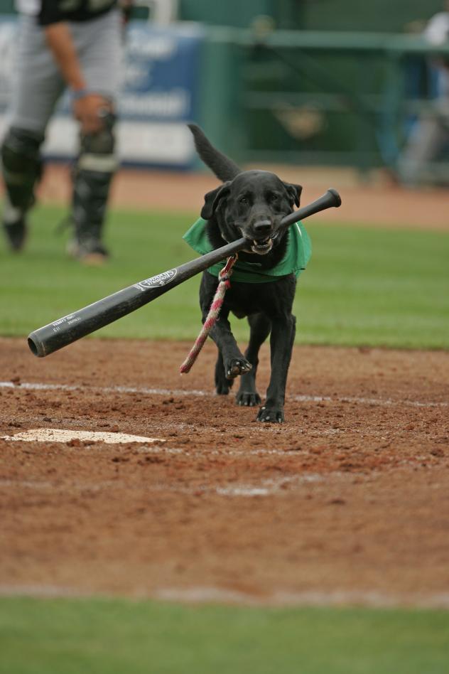 Miss Babe Ruth