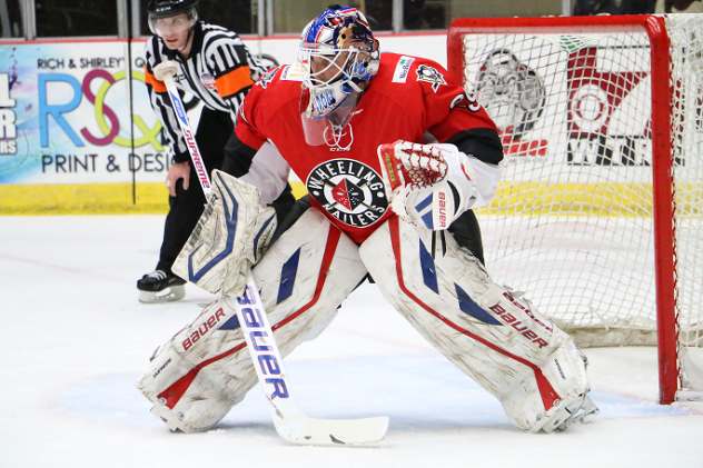 Wheeling Nailers Goaltender Franky Palazzese