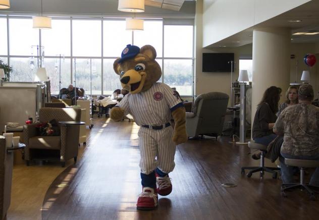 South Bend Cubs Mascot Stu at Michiana Hematology Oncology