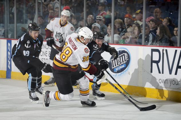 Chicago Wolves vs. Milwaukee Admirals