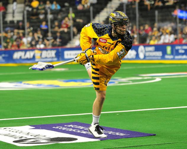 Minnesota Swarm in Action