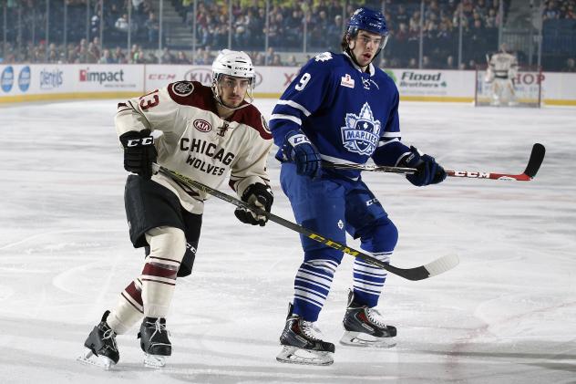 Chicago Wolves vs. Toronto Marlies