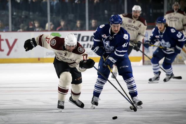 Chicago Wolves vs. Toronto Marlies