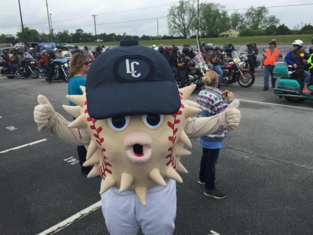 Blowie of the Lexington County Blowfish